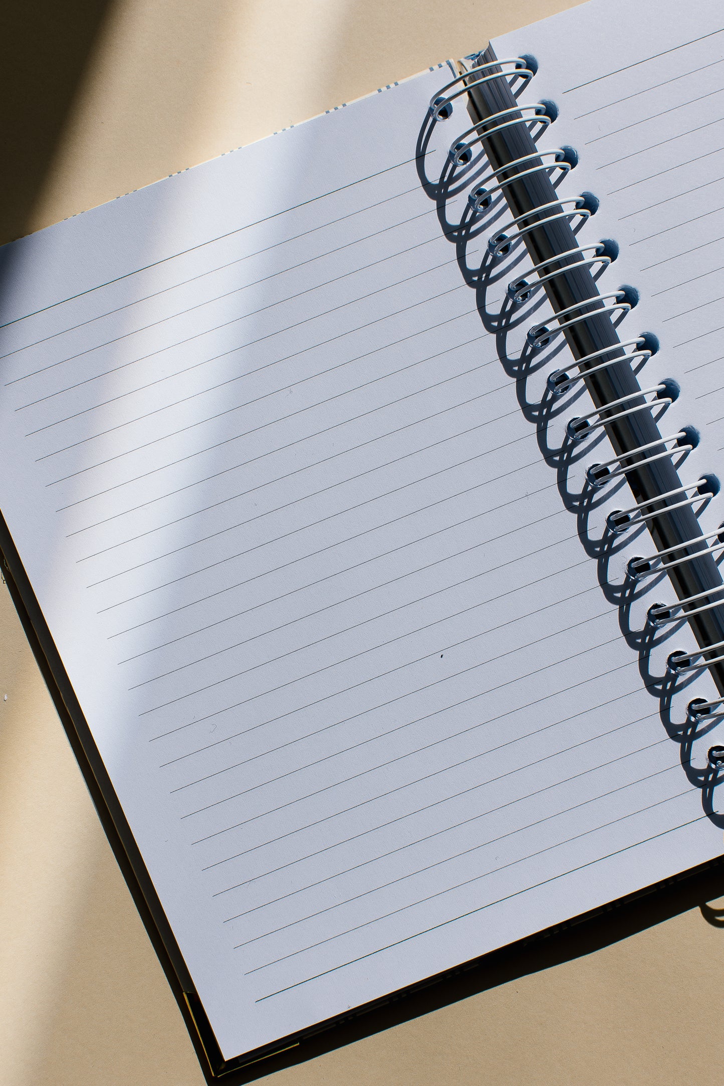 PRE-ORDER The Brushstroke Notebook